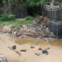 фото из отзыва ID 487272