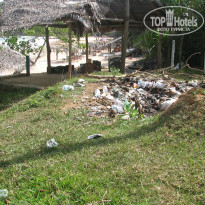 фото из отзыва ID 487272