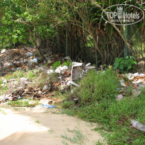 фото из отзыва ID 487272