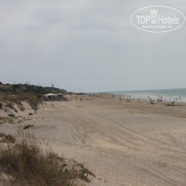 фото из отзыва ID 487301