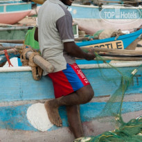 фото из отзыва ID 487395