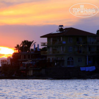 фото из отзыва ID 487500