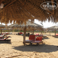 фото из отзыва ID 487516