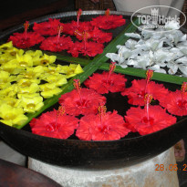 фото из отзыва ID 487045