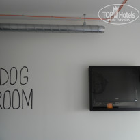 фото из отзыва ID 487568