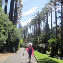 фото из отзыва ID 487594