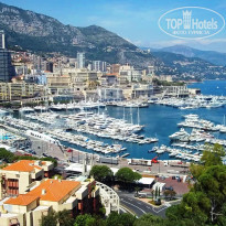 фото из отзыва ID 487594