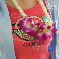 фото из отзыва ID 487981