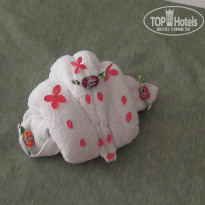 фото из отзыва ID 487252