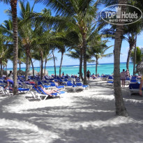 фото из отзыва ID 487252