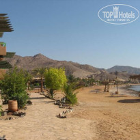 фото из отзыва ID 48827