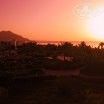 фото из отзыва ID 488945