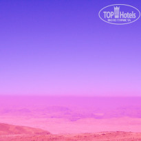 фото из отзыва ID 488945