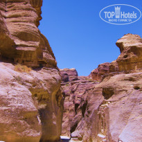 фото из отзыва ID 488945