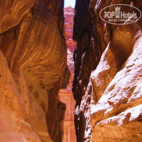 фото из отзыва ID 488945