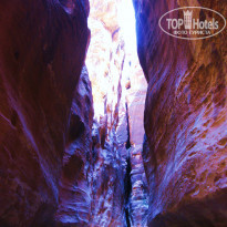 фото из отзыва ID 488945