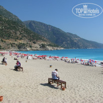 фото из отзыва ID 488000