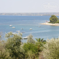 фото из отзыва ID 488035