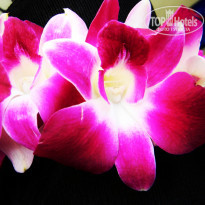 фото из отзыва ID 488242