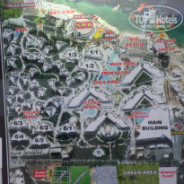 фото из отзыва ID 488345