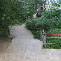 фото из отзыва ID 488481