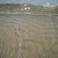 фото из отзыва ID 488474