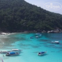 фото из отзыва ID 488895