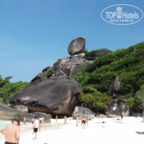 фото из отзыва ID 488895