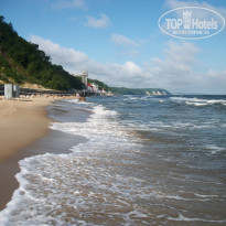 фото из отзыва ID 488937