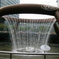 фото из отзыва ID 489164