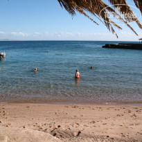 фото из отзыва ID 489073