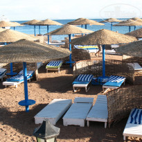 фото из отзыва ID 489073