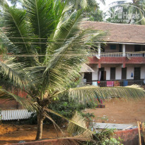 фото из отзыва ID 489378