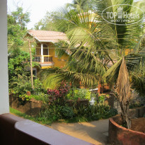 фото из отзыва ID 489378