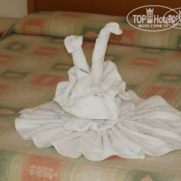 фото из отзыва ID 489568