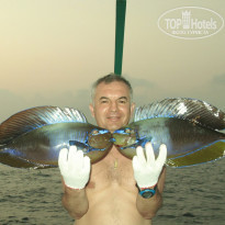 фото из отзыва ID 489571