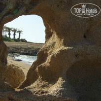 фото из отзыва ID 489727