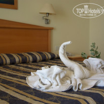 фото из отзыва ID 489727