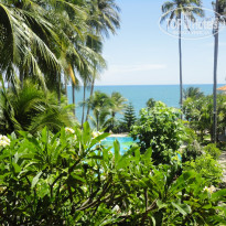 фото из отзыва ID 489035