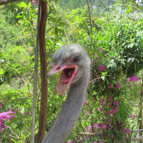 фото из отзыва ID 489035