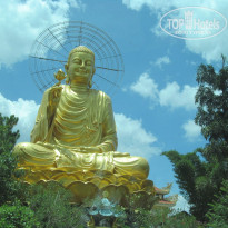 фото из отзыва ID 489035