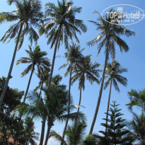 фото из отзыва ID 489035