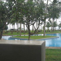 фото из отзыва ID 490171