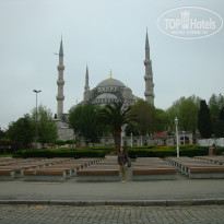 фото из отзыва ID 490297