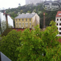 фото из отзыва ID 490341