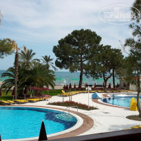 фото из отзыва ID 490346