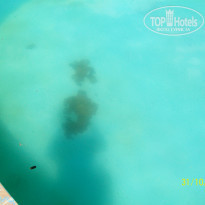 фото из отзыва ID 490431