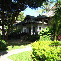 фото из отзыва ID 490440