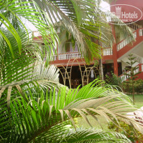 фото из отзыва ID 490487