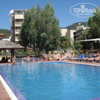 фото из отзыва ID 491047